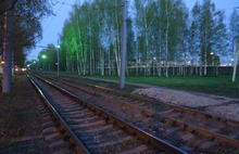 В Ярославле у трамвайных путей посадили яблони и сделали зеленую подсветку