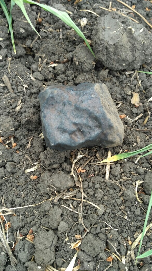 Найден еще один фрагмент липецкого метеорита