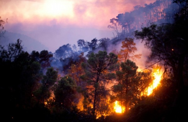 Пожарные всю ночь спасали от лесного пожара поселок Мамырь