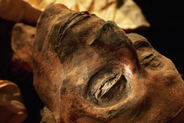 В одной из барнаульских квартир нашли мумифицированный женский труп