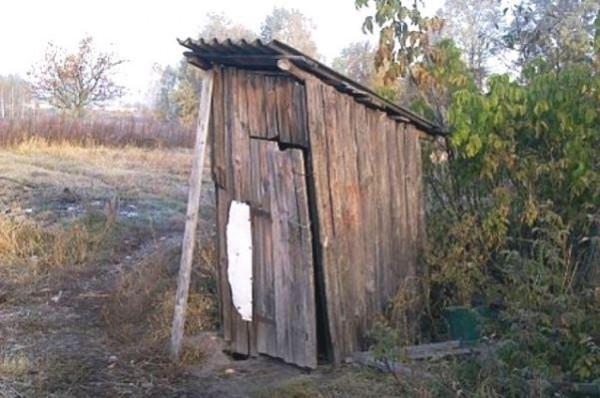 В Ростовской области укравший курицу селянин провалился в нужник