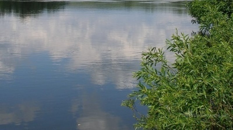 В Липецкой области в реке Дон утонул мужчина