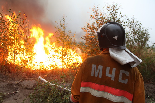 Дети устроили пожар в лесу под Томском, когда хотели запечь картофель‍