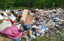 В Ярославской области около четырехсот стихийных свалок мусора