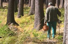 В Ярославской области сотрудник Росгвардии спас заблудившегося в лесу грибника