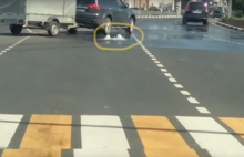 В Ярославле из только что отремонтированной дороги забили фонтаны: видео