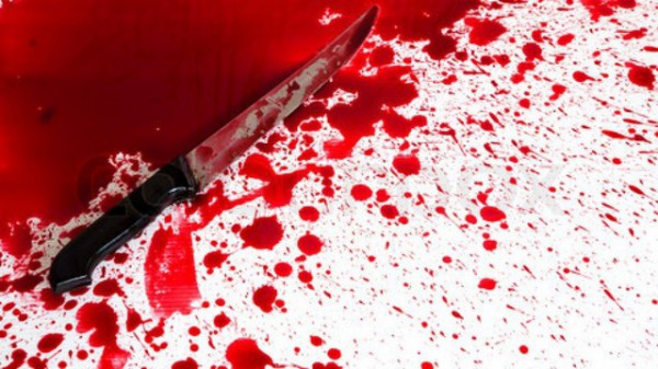 В Вологде пенсионерка пригласила мужчину в гости и ударила его ножом 35 раз