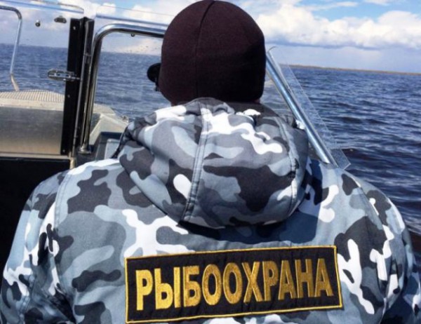 Браконьеры избили инспекторов рыбоохраны на Камчатке