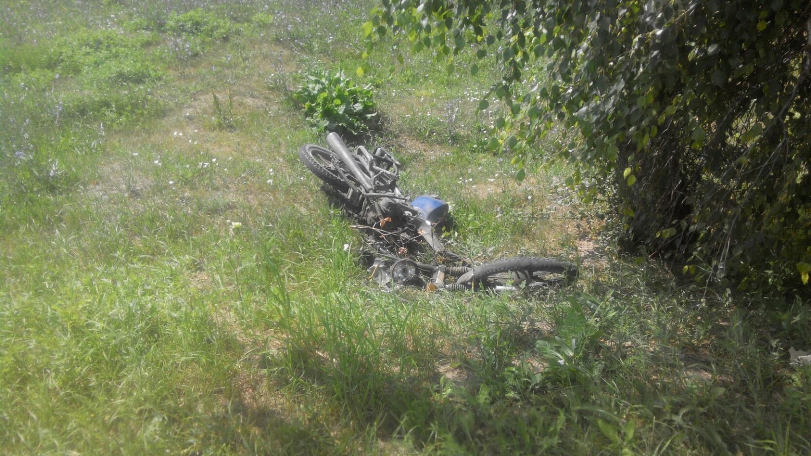 В Липецкой области автоледи сбила мотоциклиста
