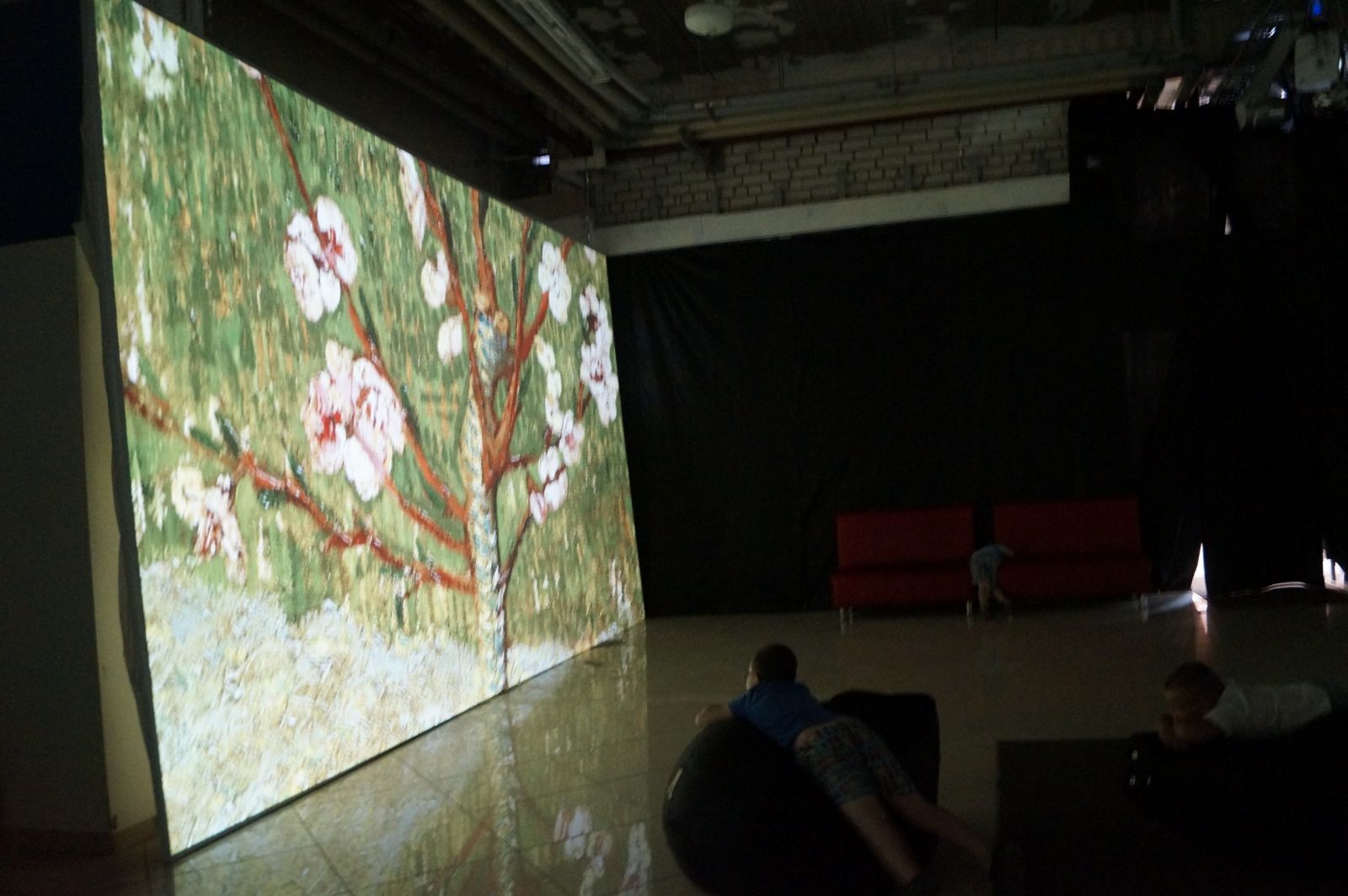 Мультимедийная выставка «Винсент ВАН ГОГ:Оживающие полотна» открылась в Липецке
