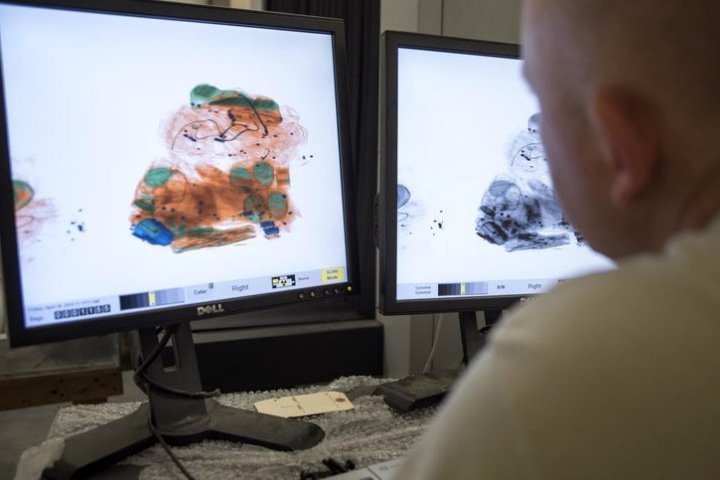 Российские ученые использовали цветные порошки и «пылесос» для обнаружения взрывчатки
