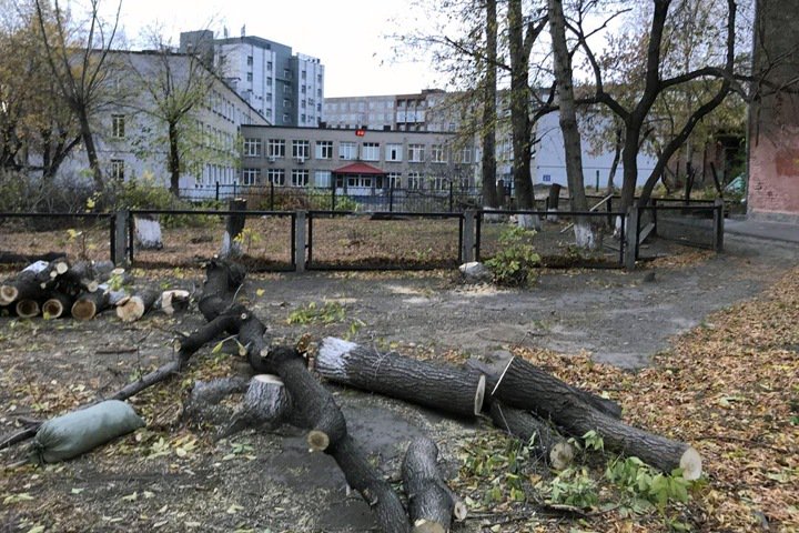 Травников поддержал создание сквера возле новосибирского лицея №22