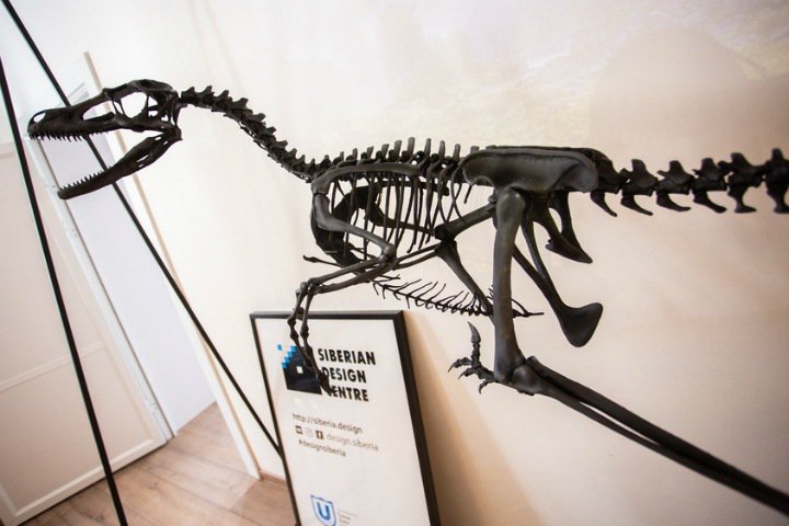 Фото дня. Скелет динозавра напечатали на 3D-принтере в Томске
