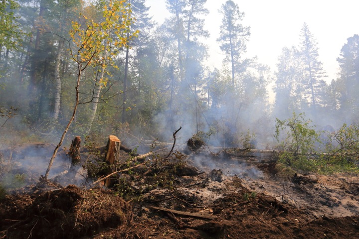 Минприроды поручило пересмотреть границы зон контроля, где не тушат лесные пожары