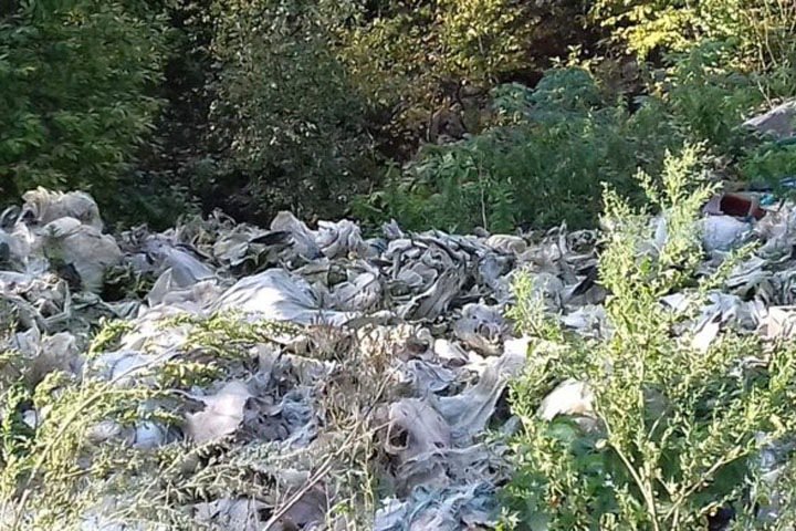 Десятки мешков с черепами нашли в кузбасском лесу