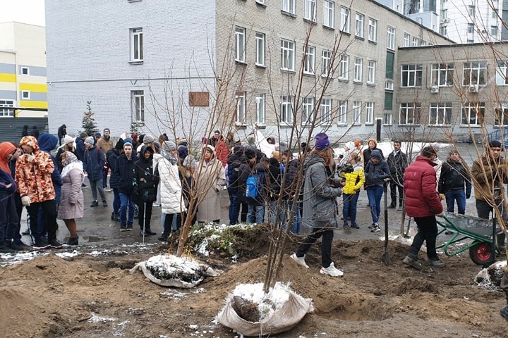 Мэрия Новосибирска выиграла суд за землю у лицея «Надежда Сибири»