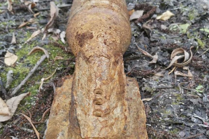 Омский грибник обнаружил в лесу неразорвавшийся минометный снаряд
