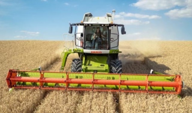 Зерновой экспорт: почему Россия занимает 1-место на рынке пшеницы