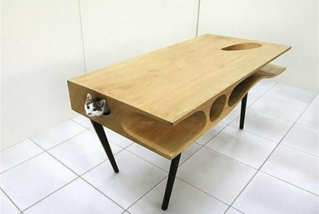 Кошачья мебель: какой дизайн любят коты