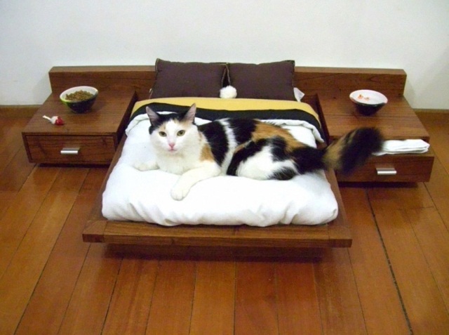 кошачья спальня
