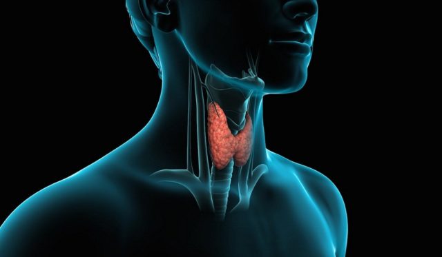 Следствие многих недугов. Как проверить щитовидку