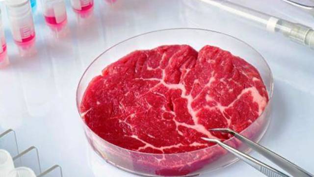 Искусственное мясо: когда на Земле наступит эра синтезированных продуктов