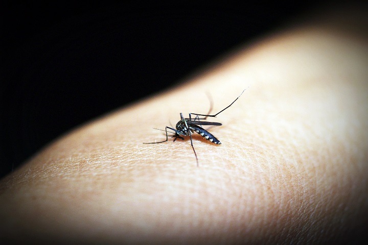 Еще один житель Красноярского края заболел тропической малярией