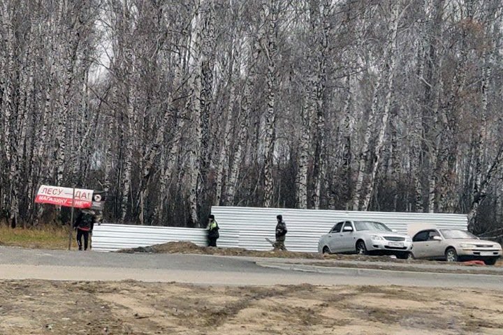 Лес начали вырубать в наукограде Кольцово. Жители выступили против