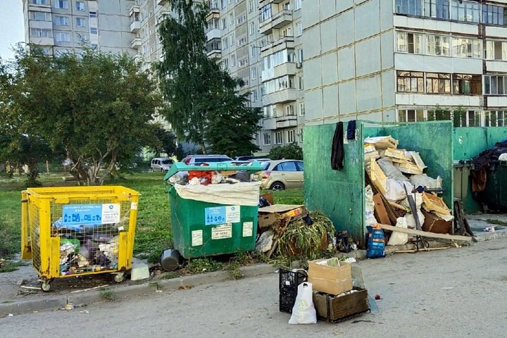 Одну из крупнейших мусорных компаний Новосибирска потребовали обанкротить