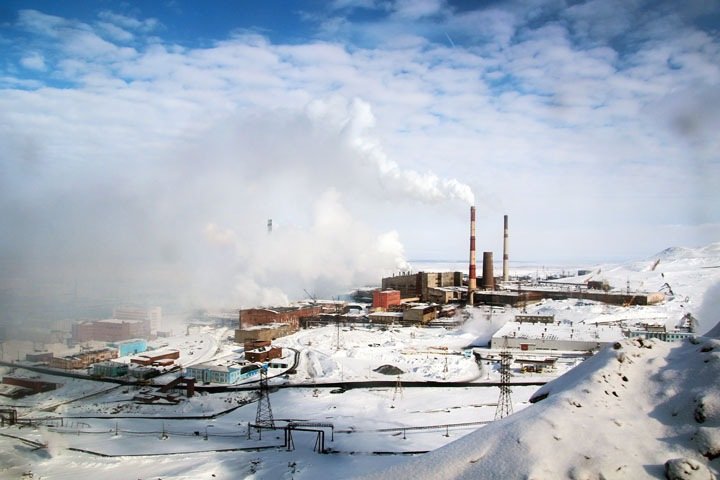 Светящиеся бактерии помогут измерить загрязнение почвы в городах Сибири