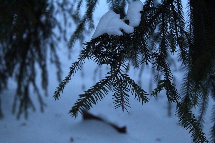 Резкое похолодание придет в Новосибирскую область на Рождество